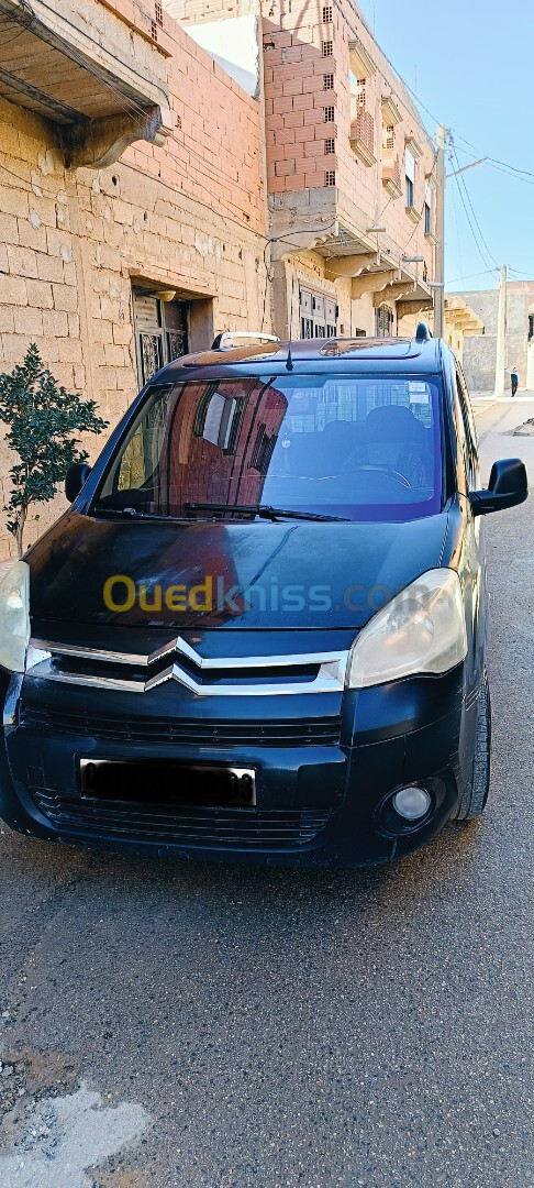 Citroen Berlingo 2009 Berlingo