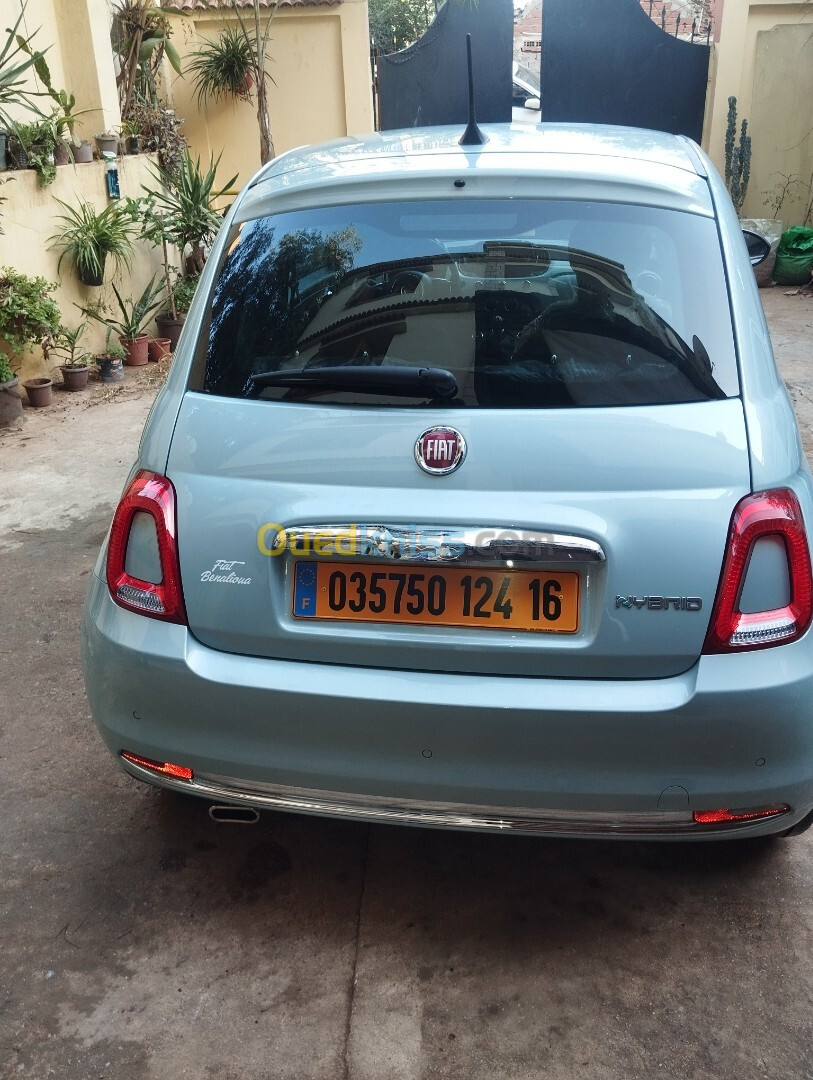 Fiat 500 2024 509