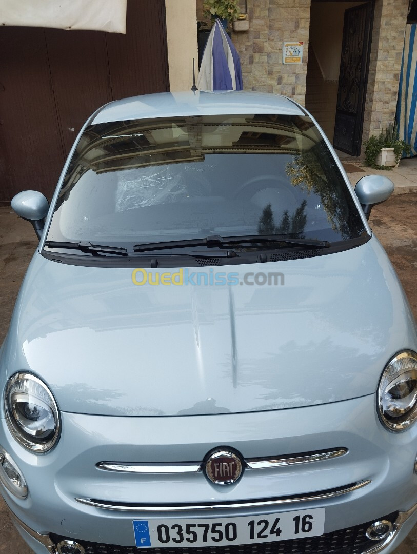 Fiat 500 2024 509