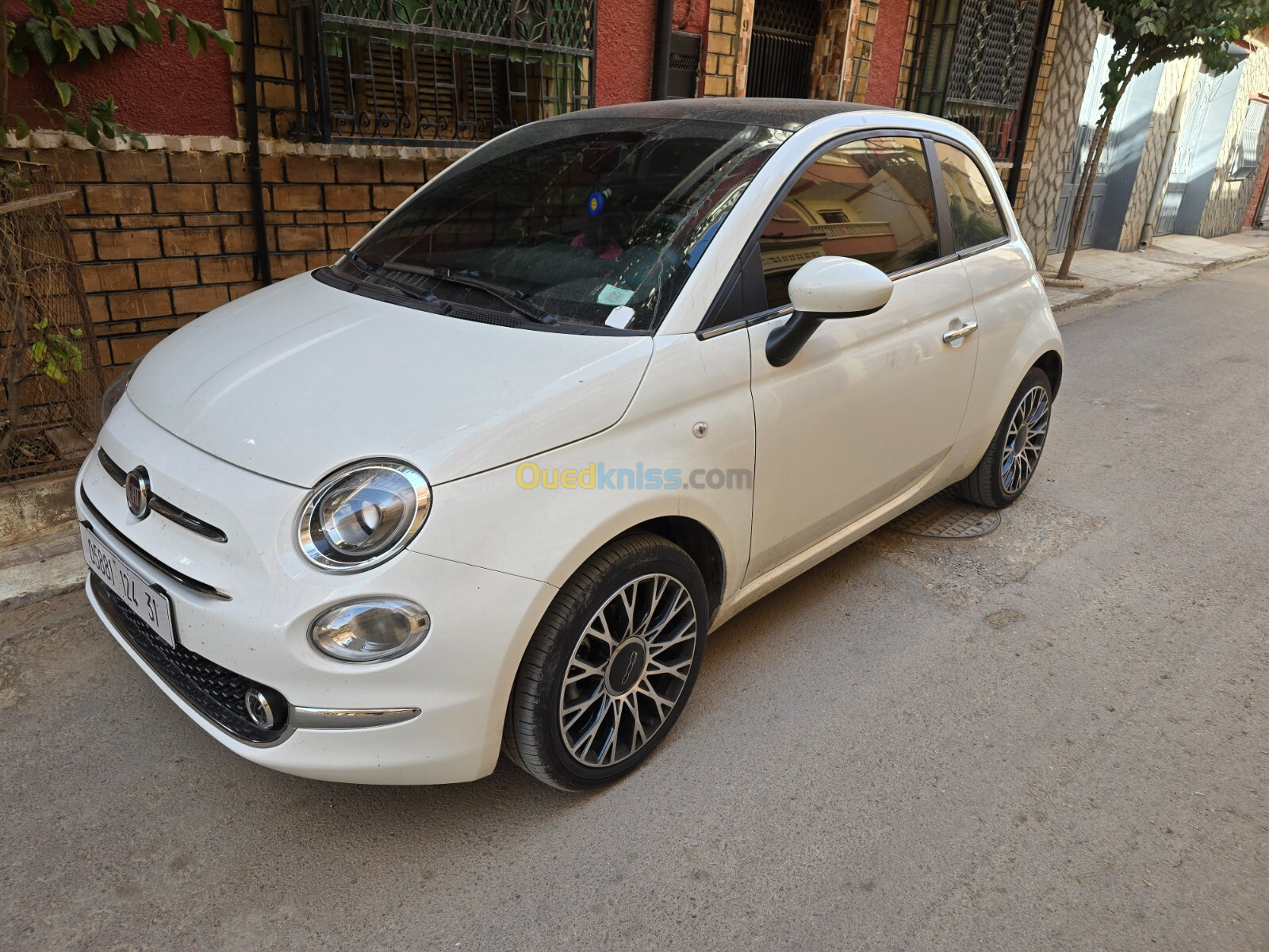 Fiat 500 2024 Dotchivita