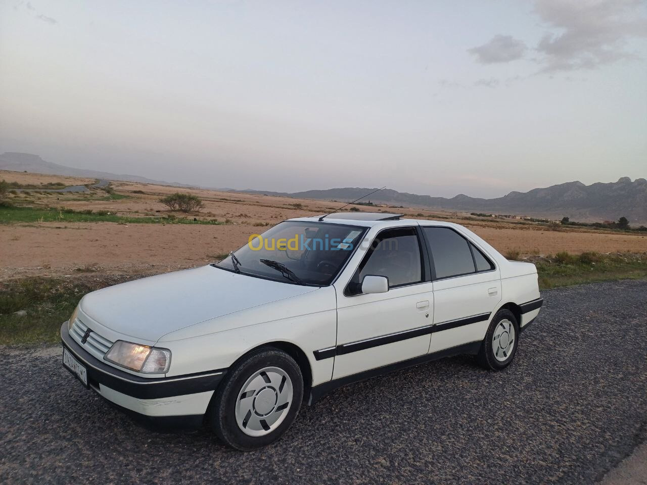 Peugeot 405 1992 405