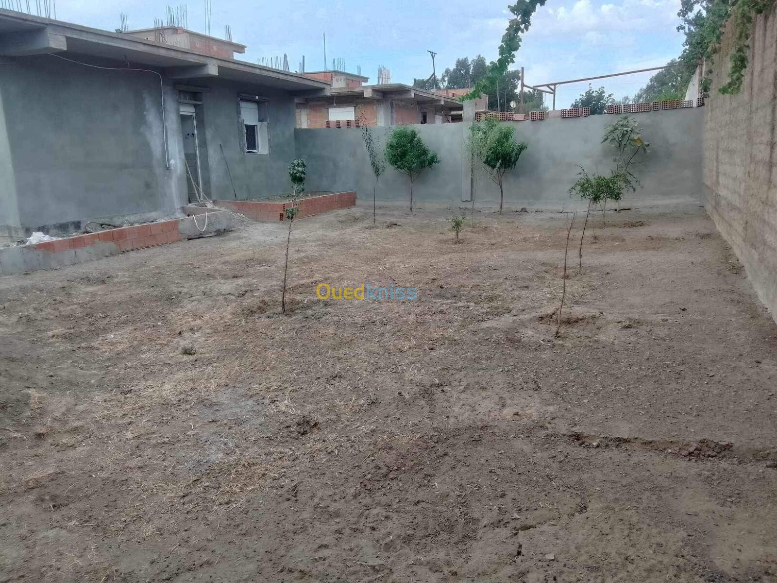 Vente Villa Blida Larbaa