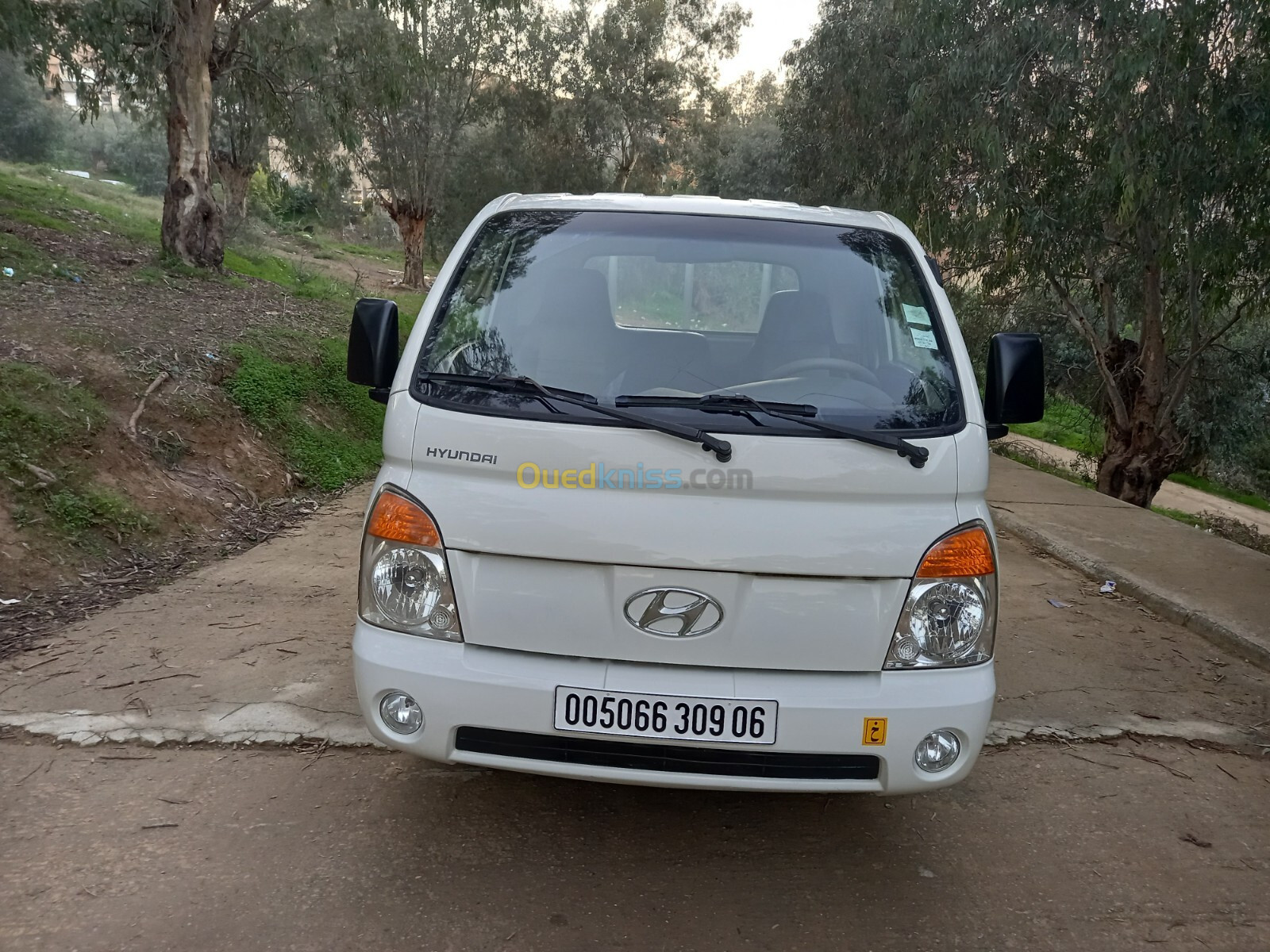 Hyundai H100 2009 