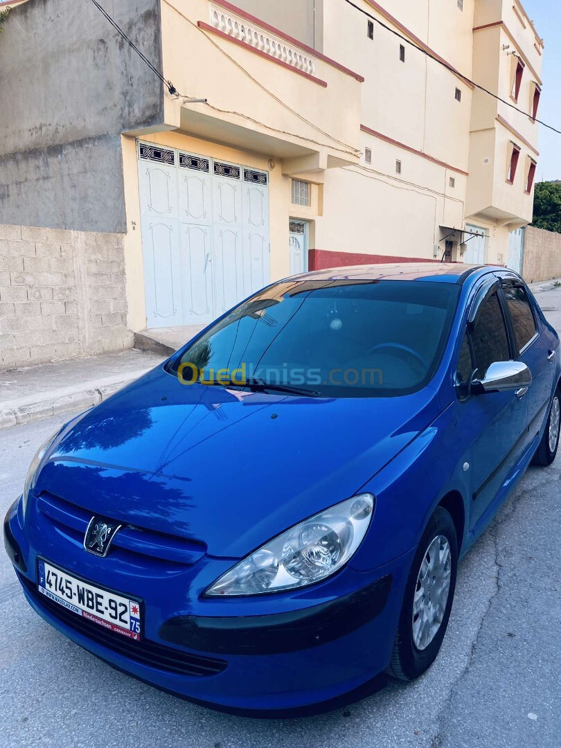 Peugeot 307 2002 307