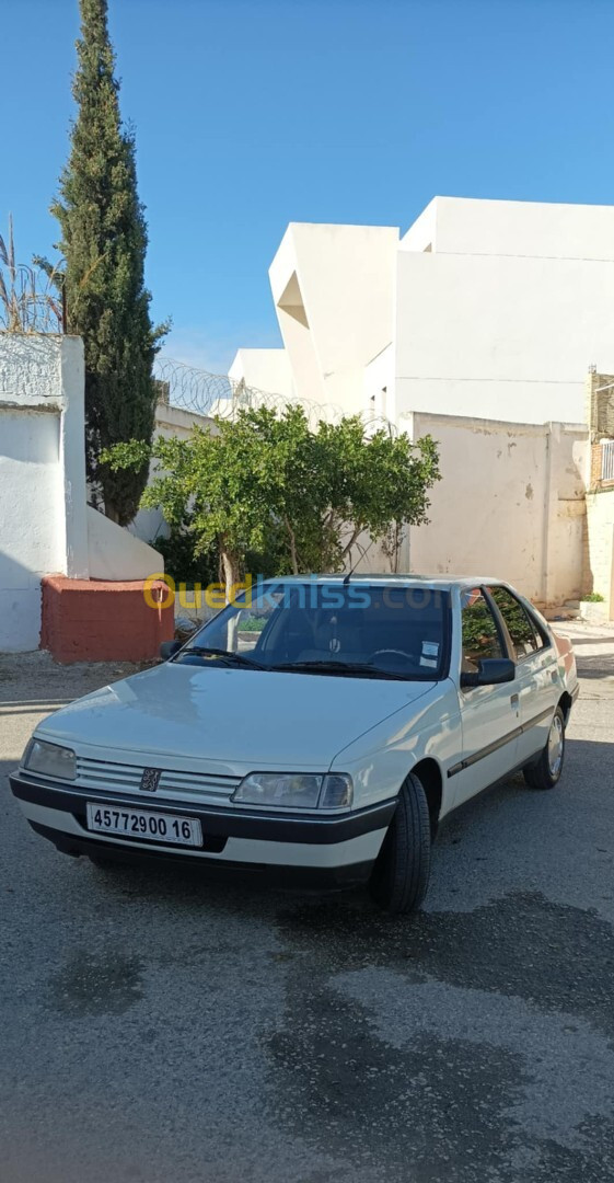 Peugeot 405 1991 GLD