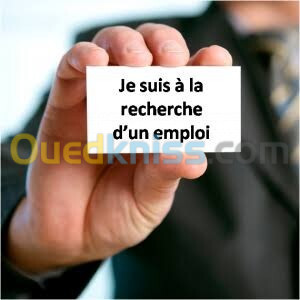 Chauffeur,  vendeur , caissier ...