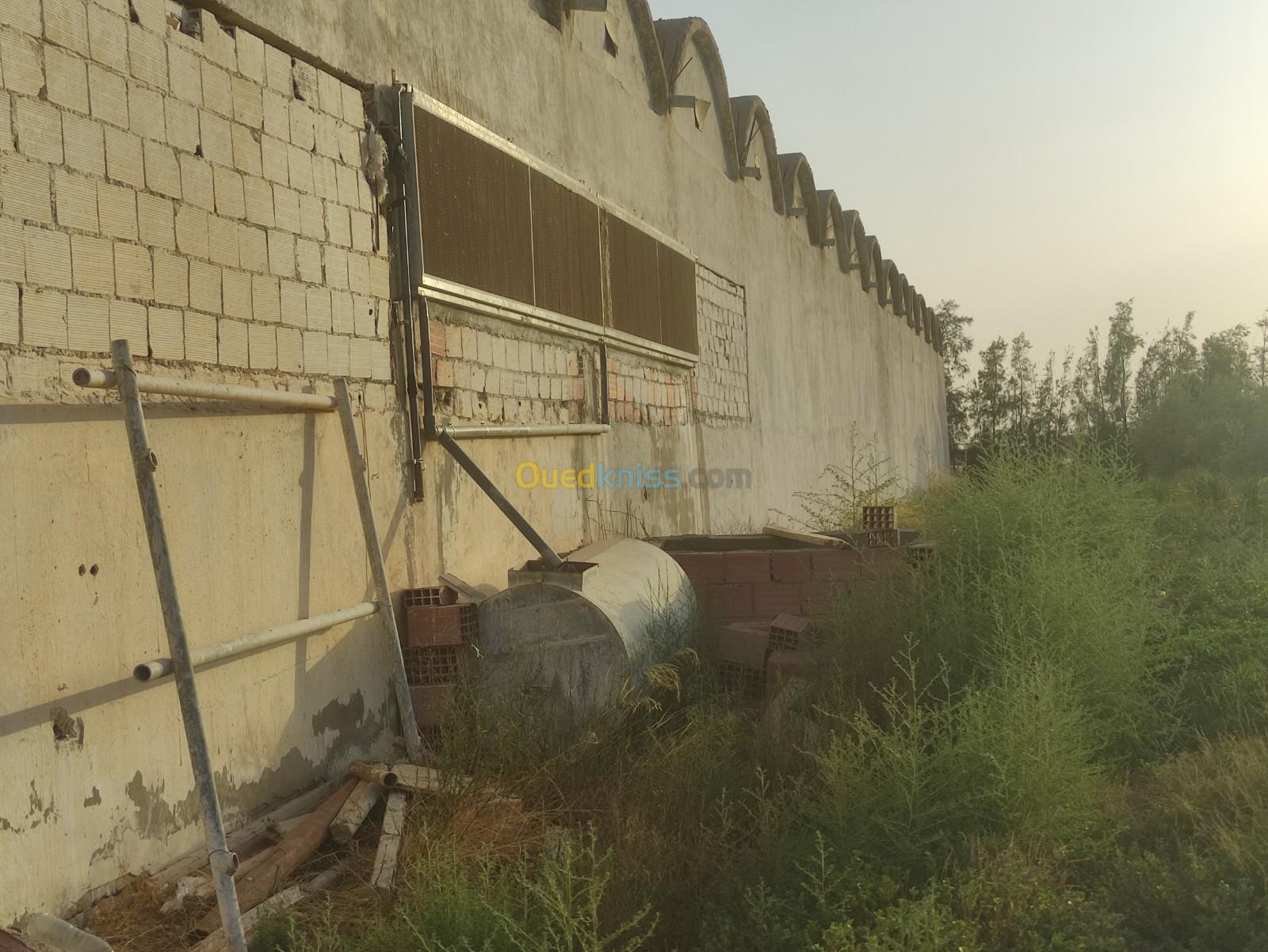 Location Hangar Batna Barika