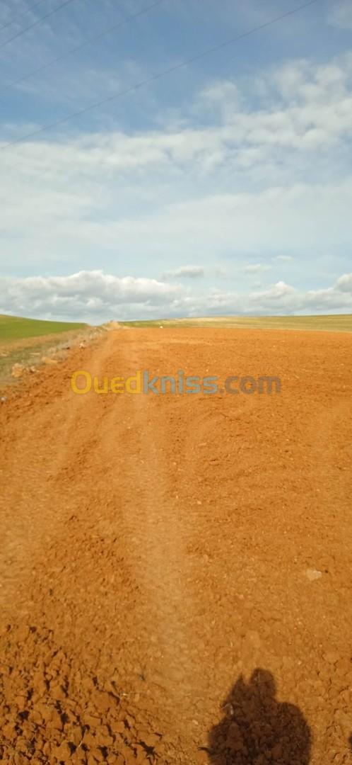 Vente Terrain Bouira Oued el berdi