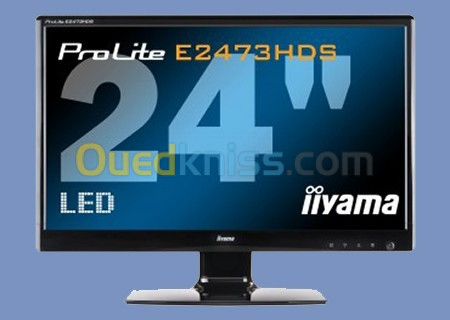 Ecran 24'' IIyama prolite E2473HDS