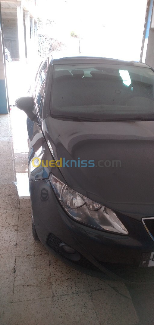 Seat Ibiza 2012 Loca