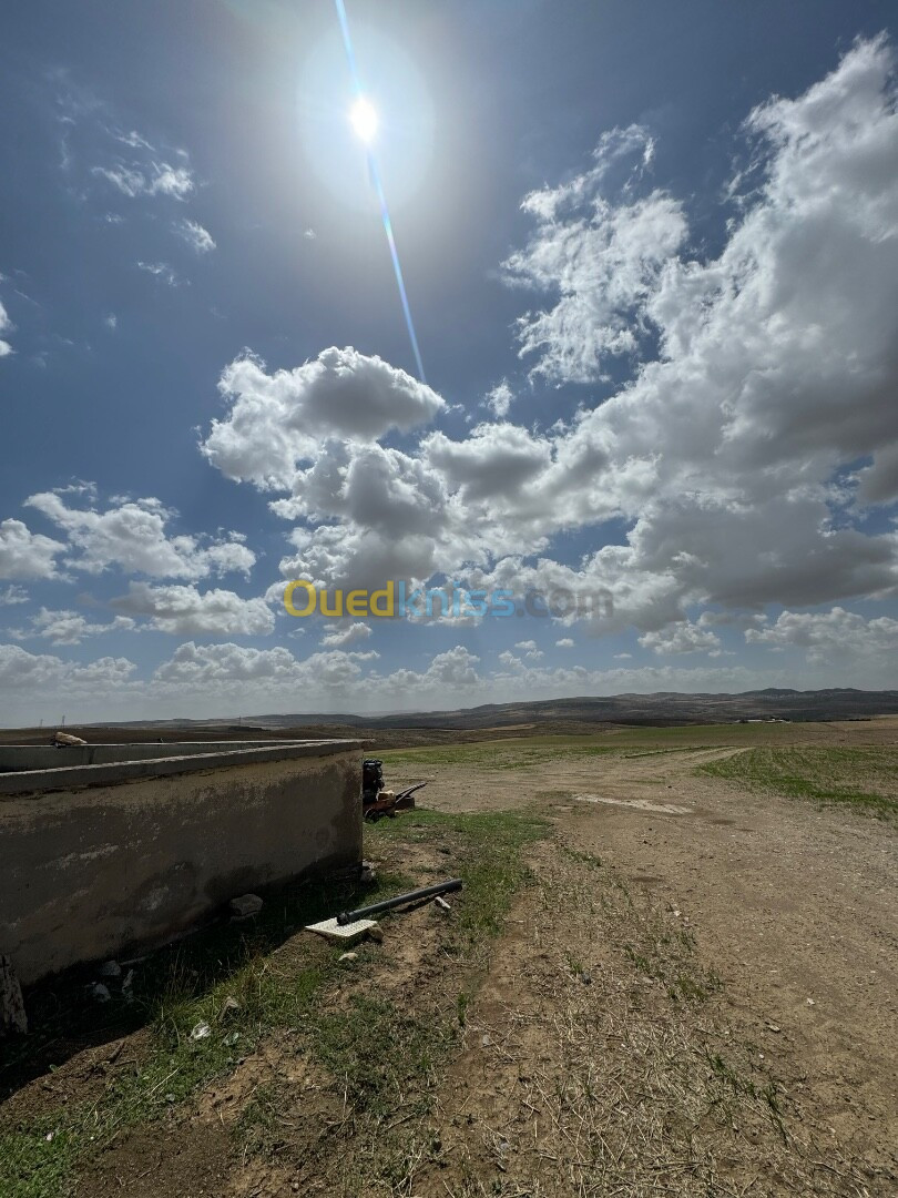 Vente Terrain Bordj Bou Arreridj Bir kasdali