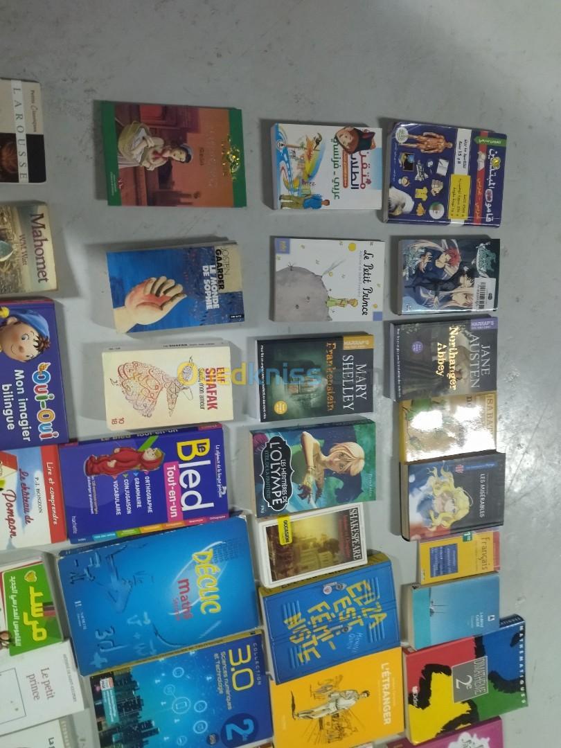 Vente lot de livres 