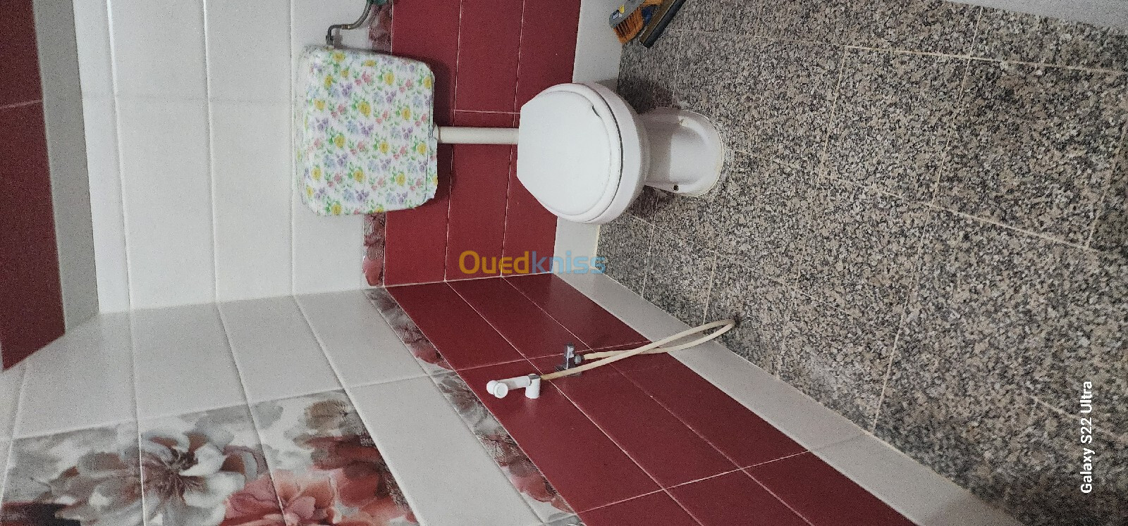 Location Appartement F2 Alger Bologhine