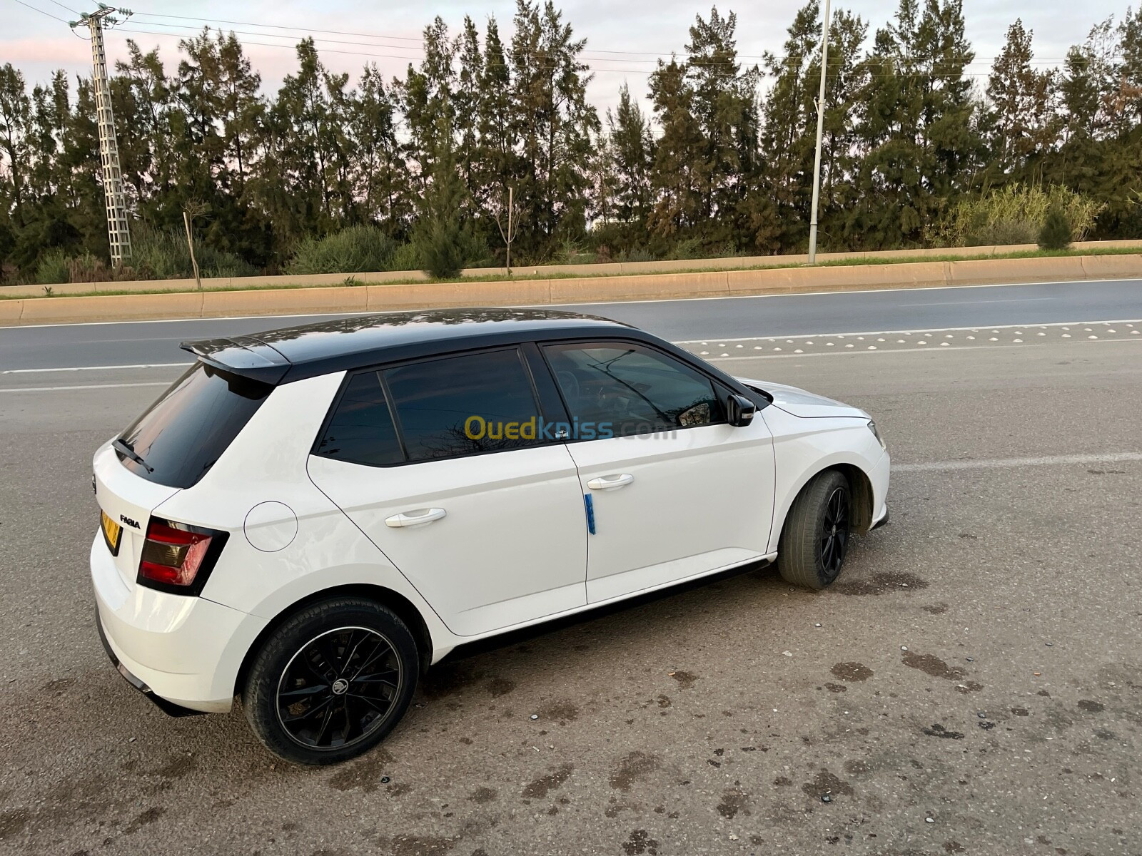 Skoda Fabia 2017 Monte Carlo