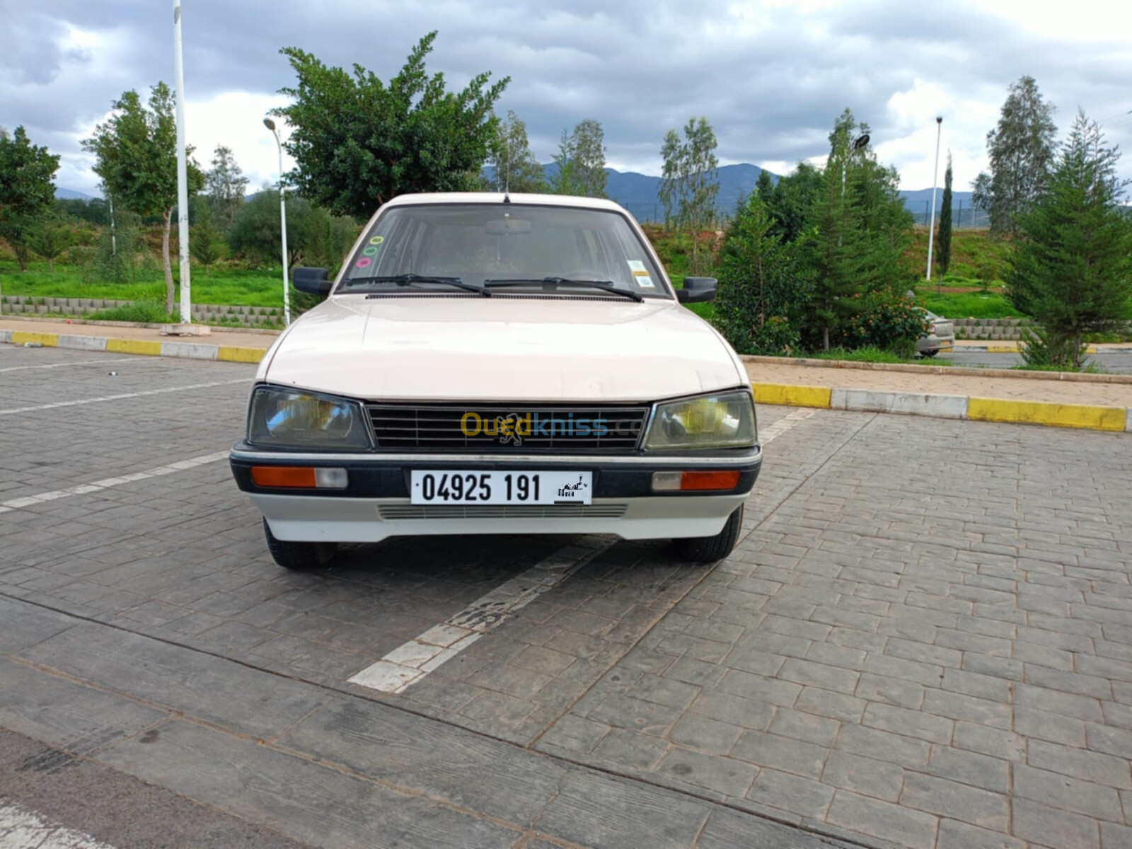 Peugeot 505 1991 505