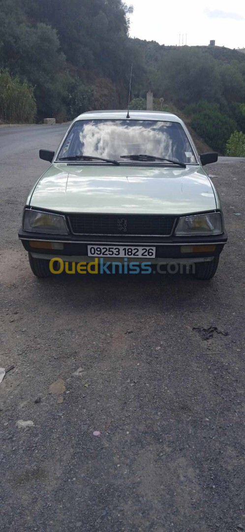 Peugeot 505 1982 505