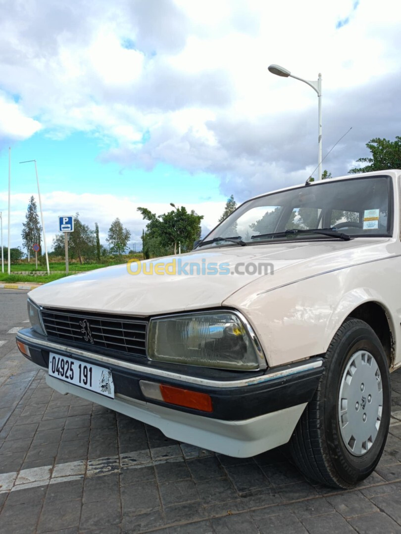 Peugeot 505 1991 505