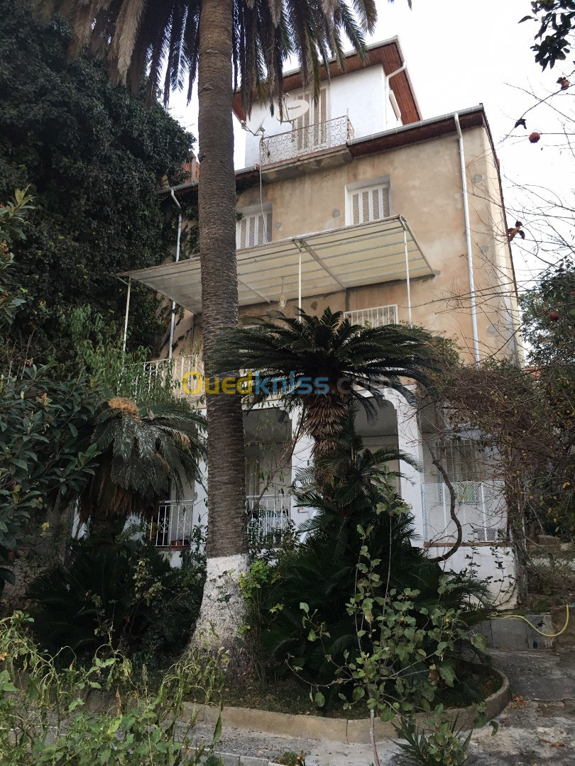 Vente Villa Alger El biar