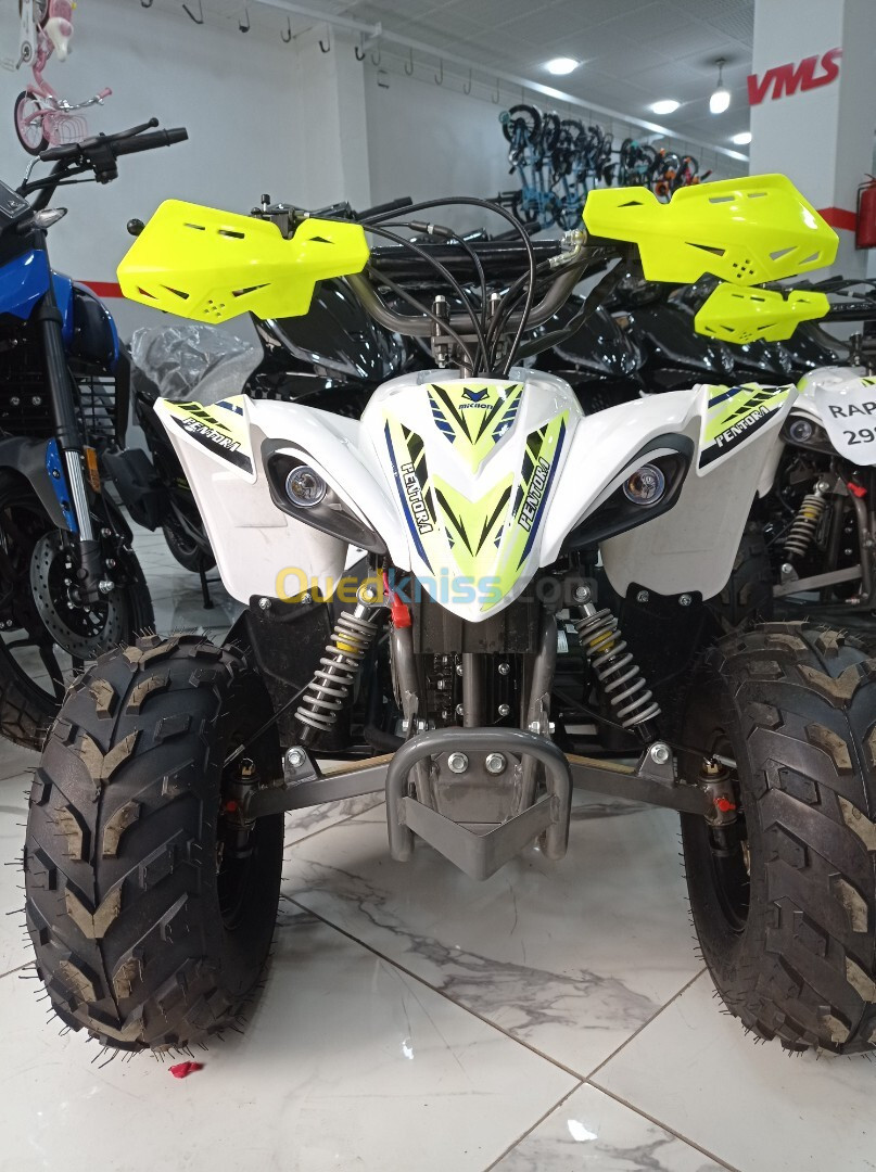 VMS QUAD RAPTOR 110 cc 2024