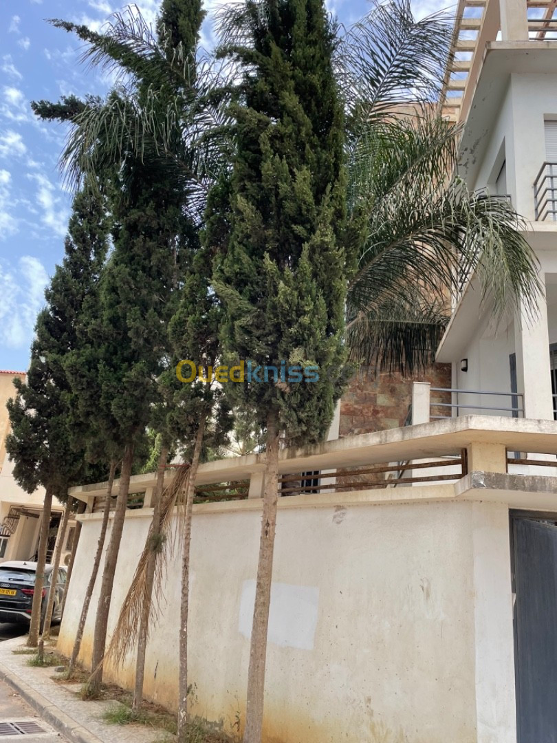 Vente Villa Alger Draria