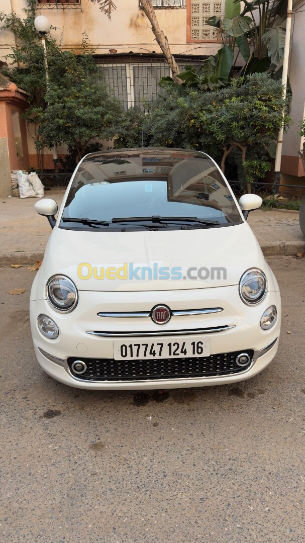 Fiat 500 2024 500