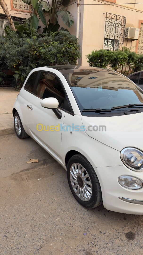 Fiat 500 2024 500