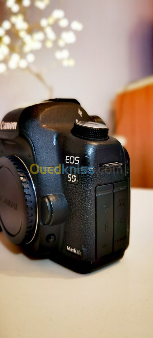 Canon 5d mark ii en exelent état 