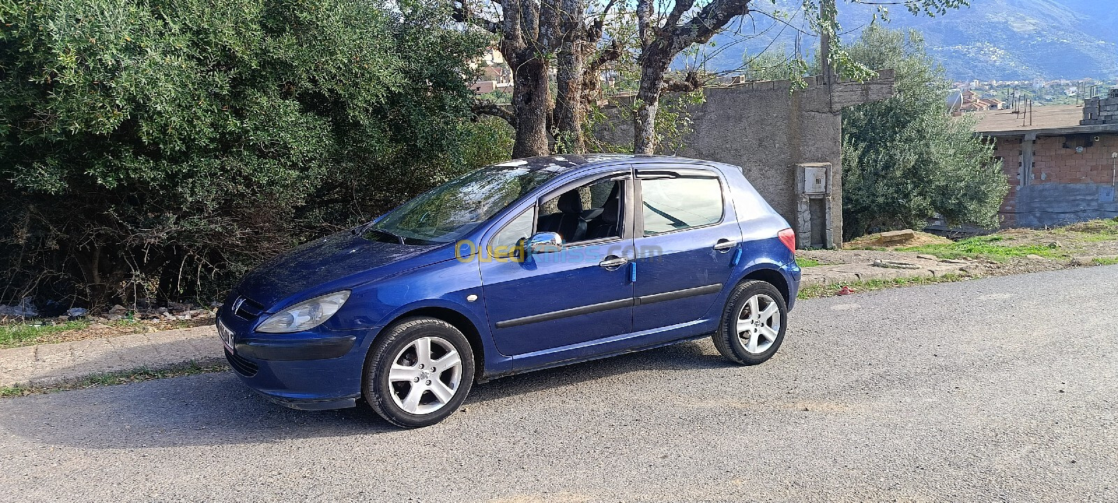 Peugeot 307 2004 307