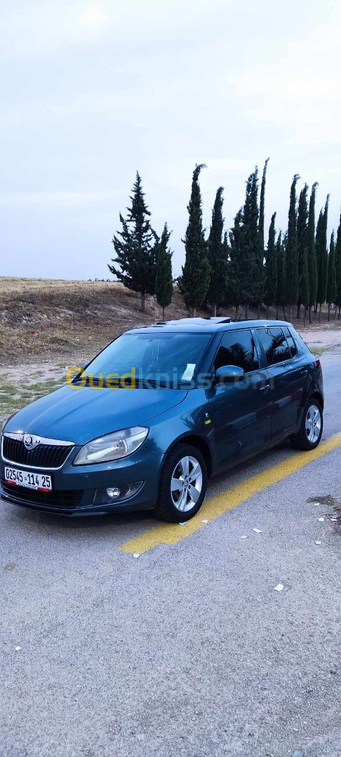 Skoda Fabia 2014 Fresh