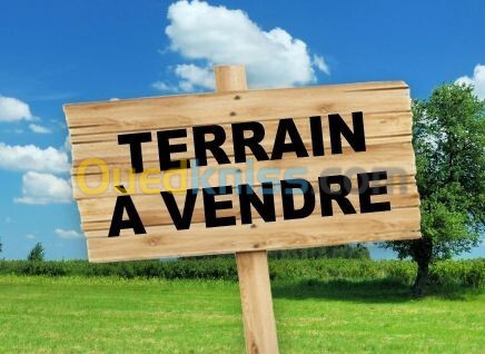 Vente Terrain Oran Bir el djir