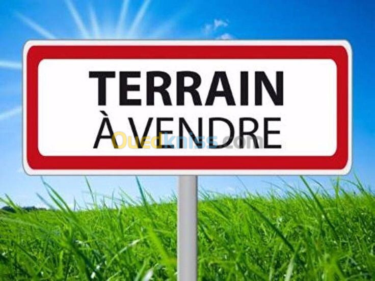 Vente Terrain Oran Bir el djir