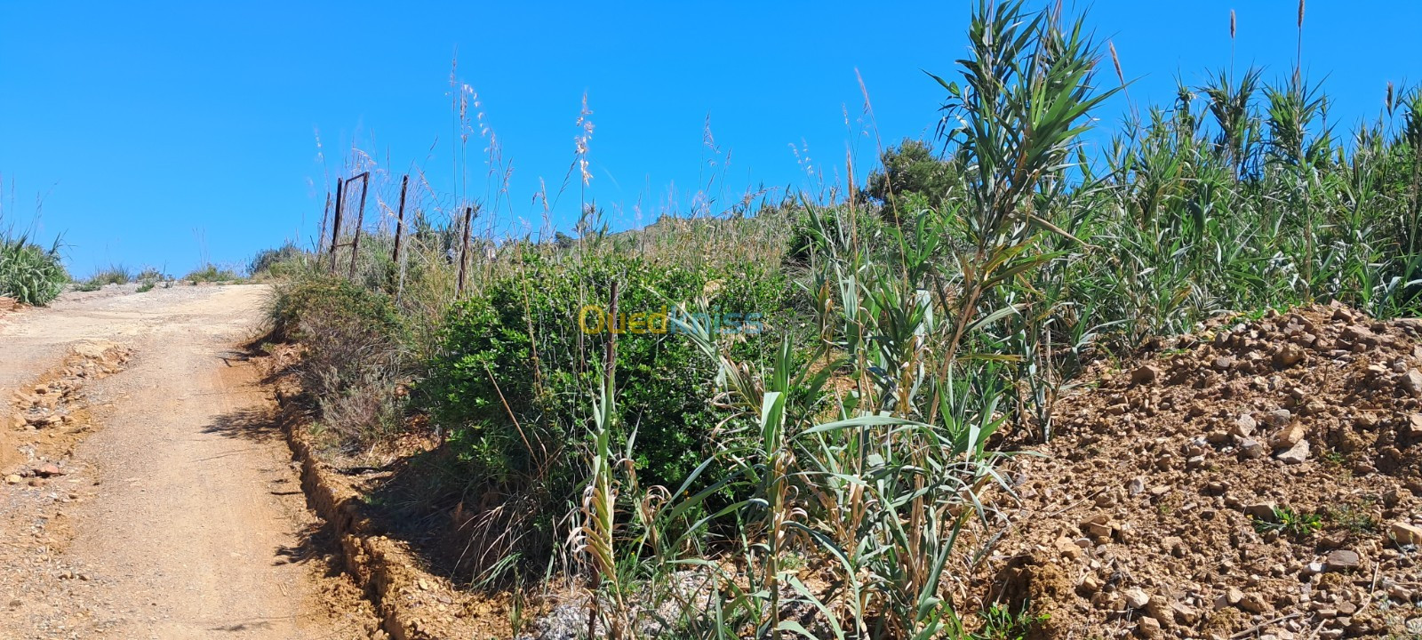 Vente Terrain Béjaïa Toudja