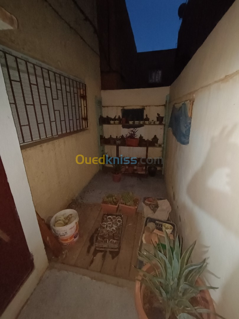 Vente Duplex F4 Sidi Bel Abbès Sidi bel abbes