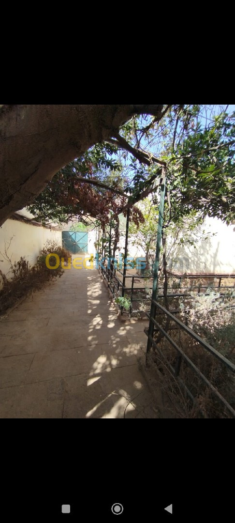 Vente Villa Sidi Bel Abbès Sidi bel abbes