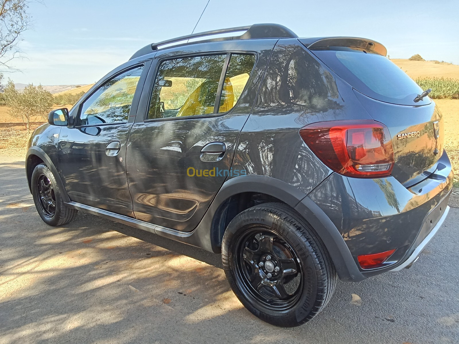 Dacia Sandero 2019 Stepway