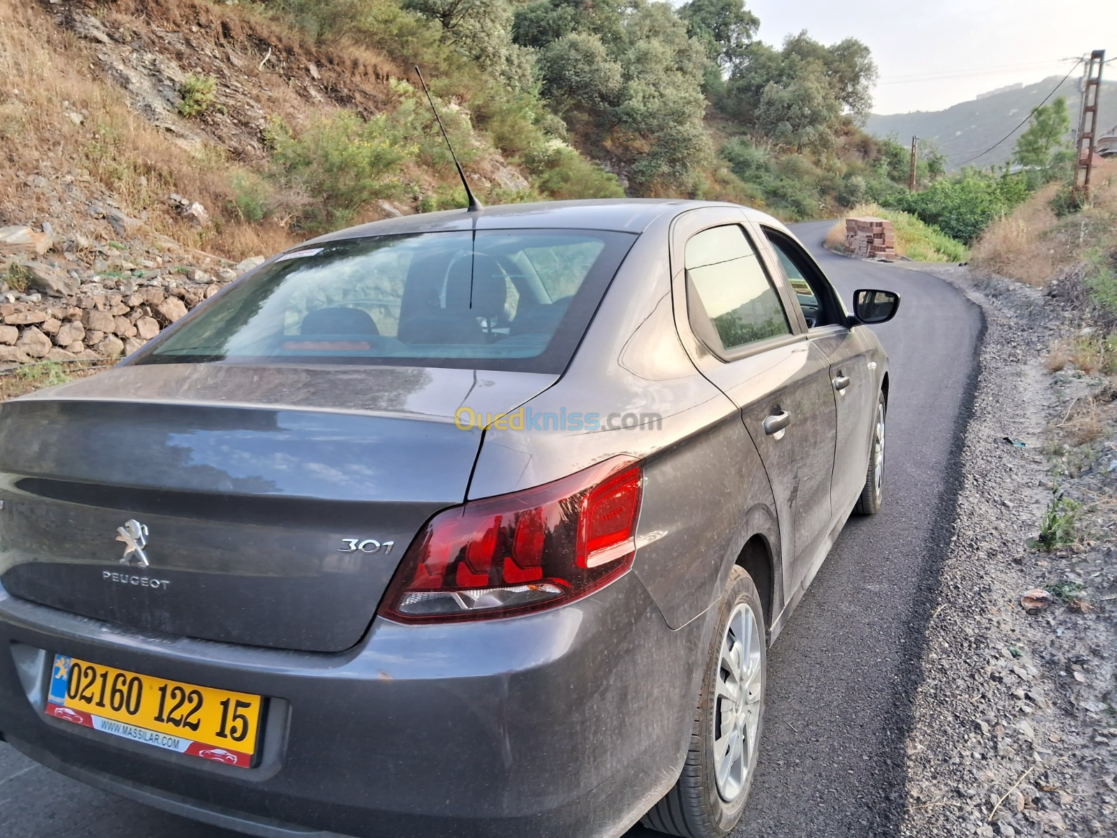 Peugeot 301 2022 Active