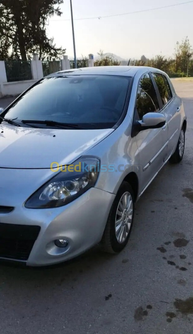 Renault Clio 3 2010 Clio 3