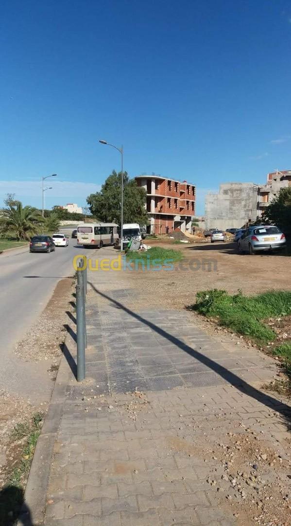 Vente Terrain Alger Bordj el kiffan