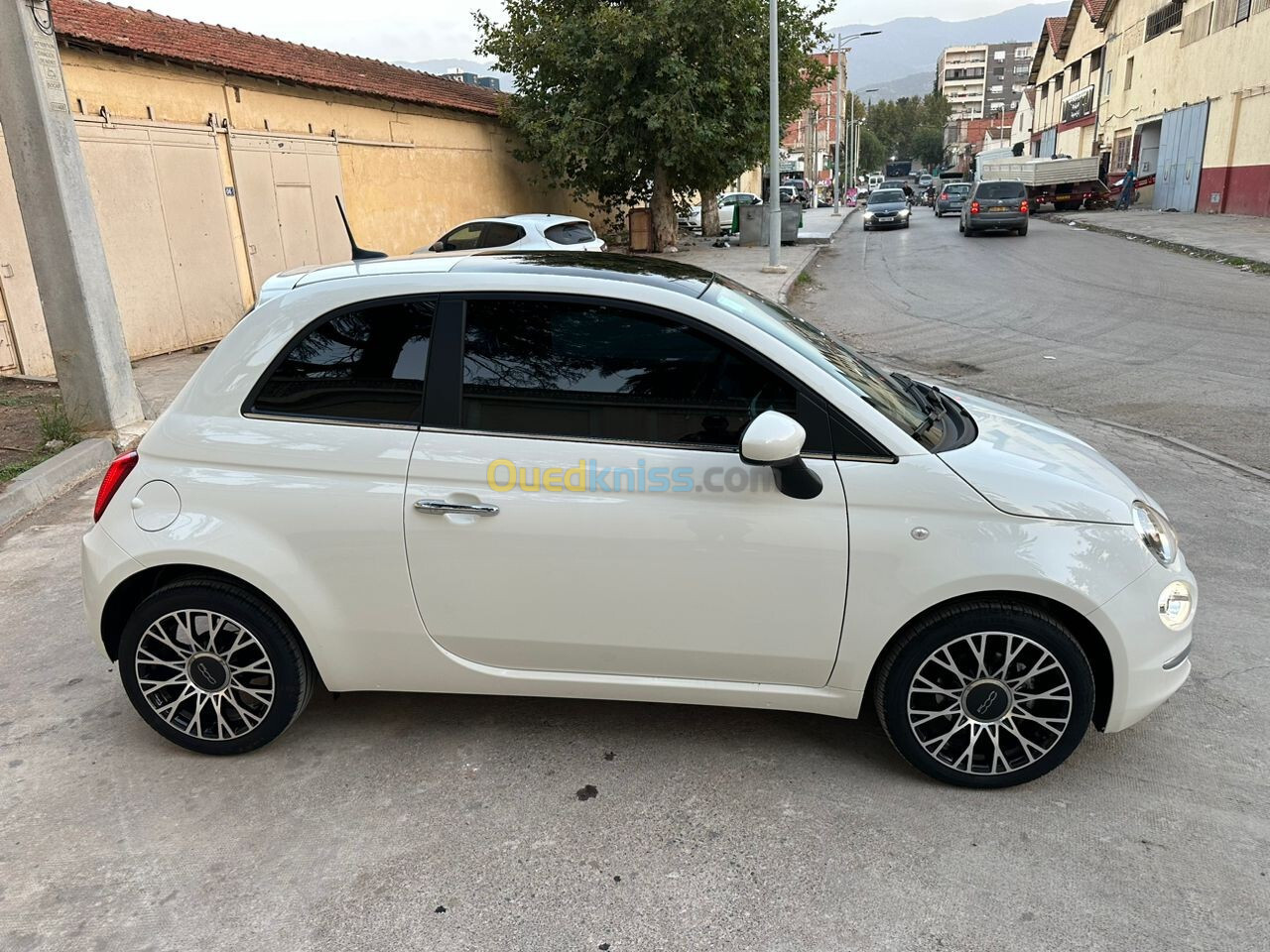 Fiat 500 2024 