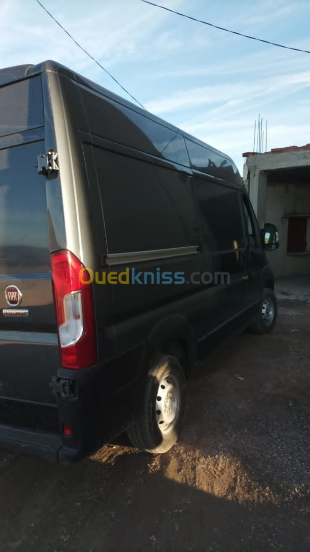 Fiat Ducato 2023