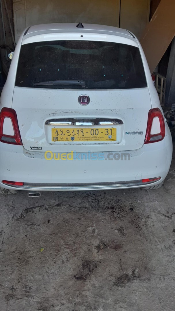 Fiat 500 2024 500