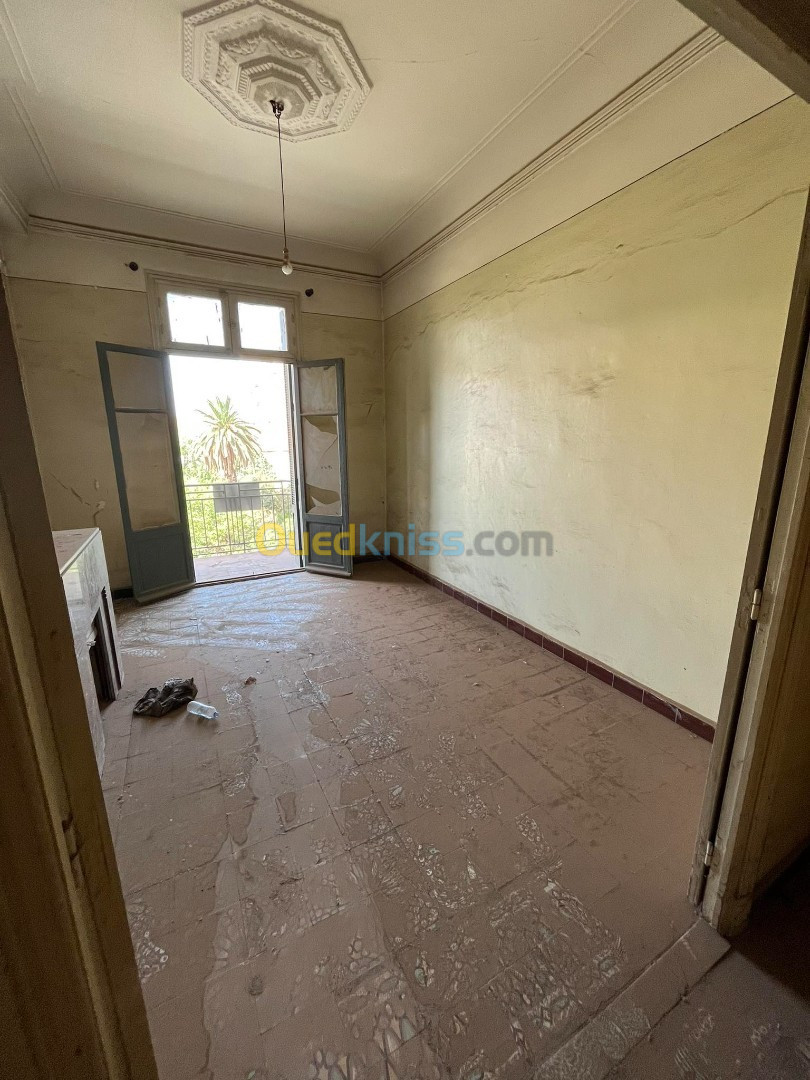 Vente Appartement F5 Sidi bel abbes Sidi bel abbes