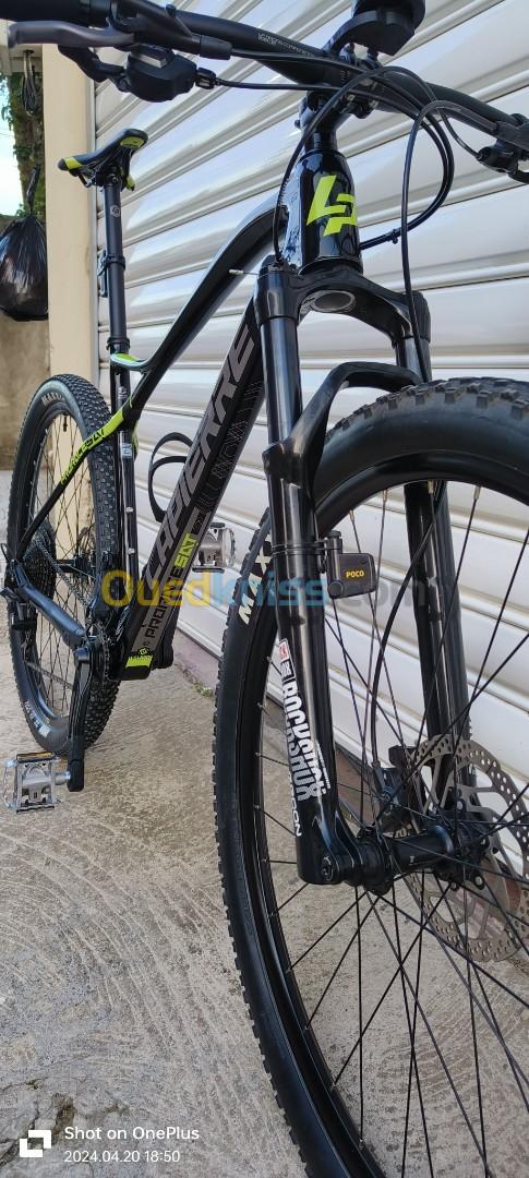 VTT XC-all mountain Lapierre prorace SAT 29 L carbon 