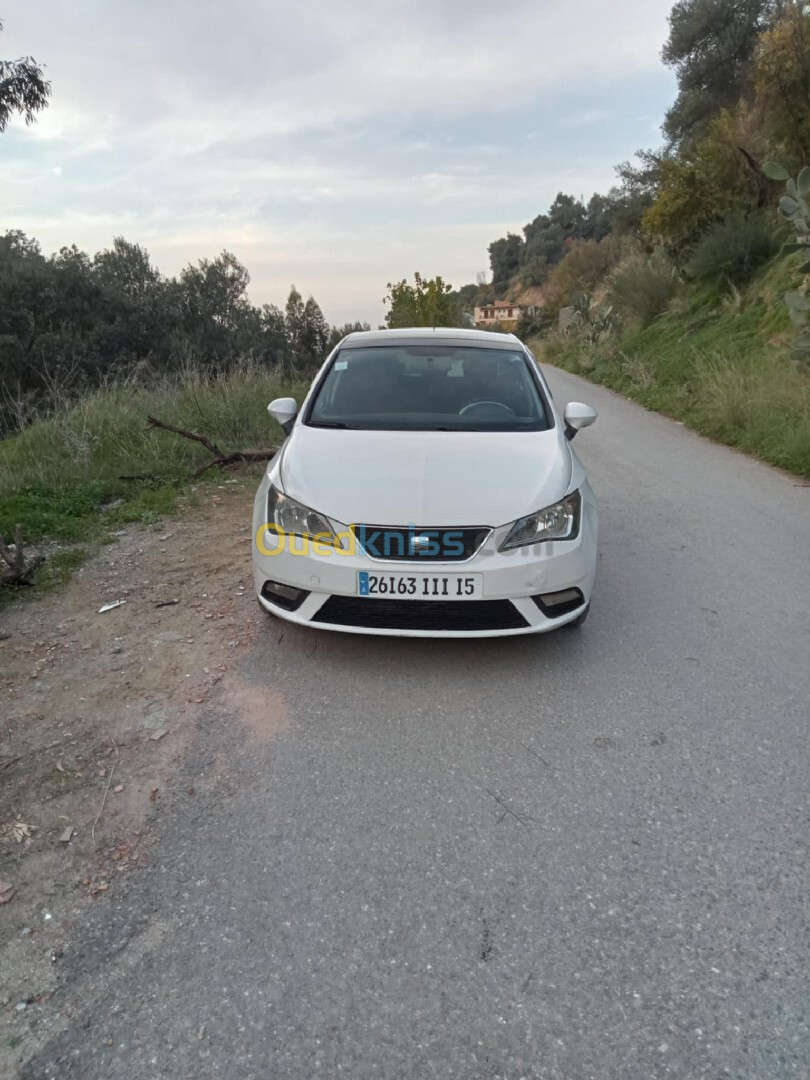 Seat Ibiza 2011 Ibiza