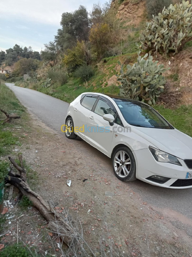 Seat Ibiza 2011 Ibiza