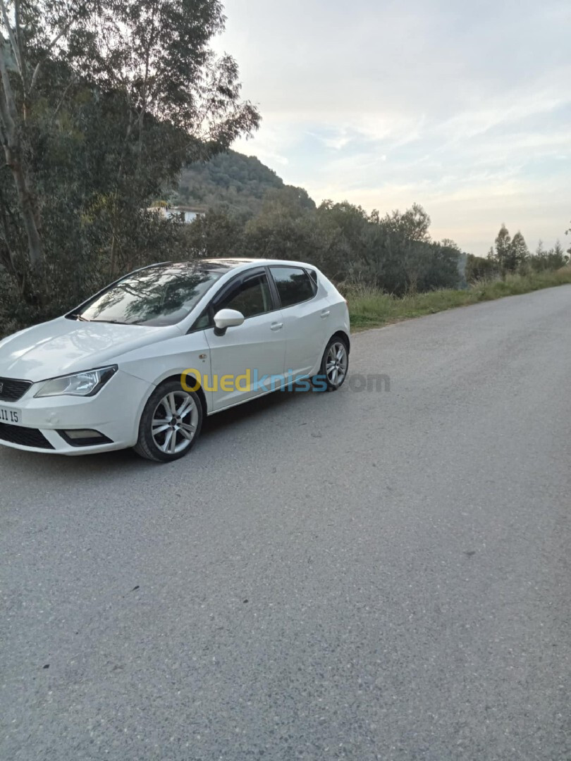 Seat Ibiza 2011 Ibiza