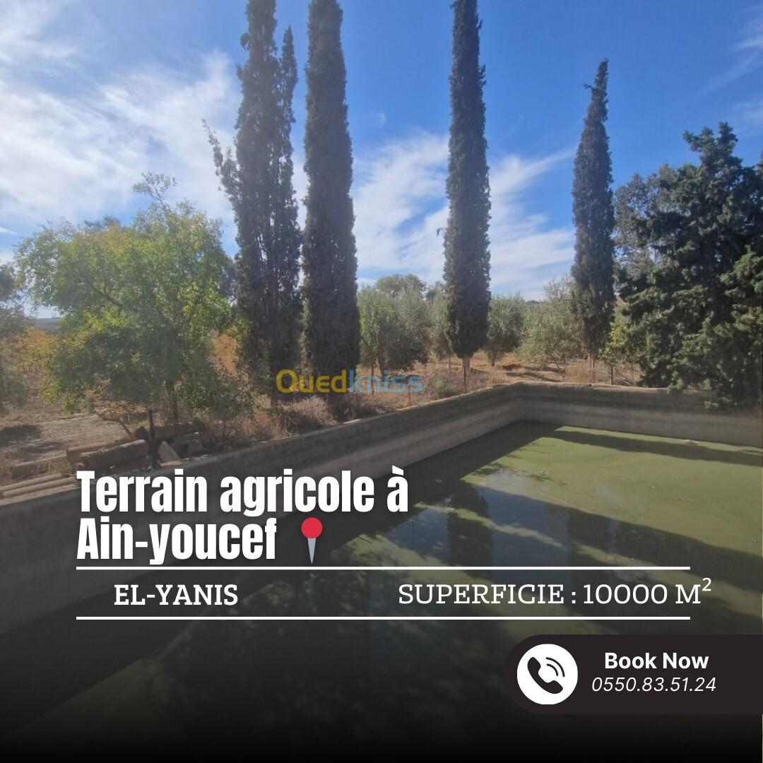 Vente Terrain Agricole Tlemcen Ain youcef