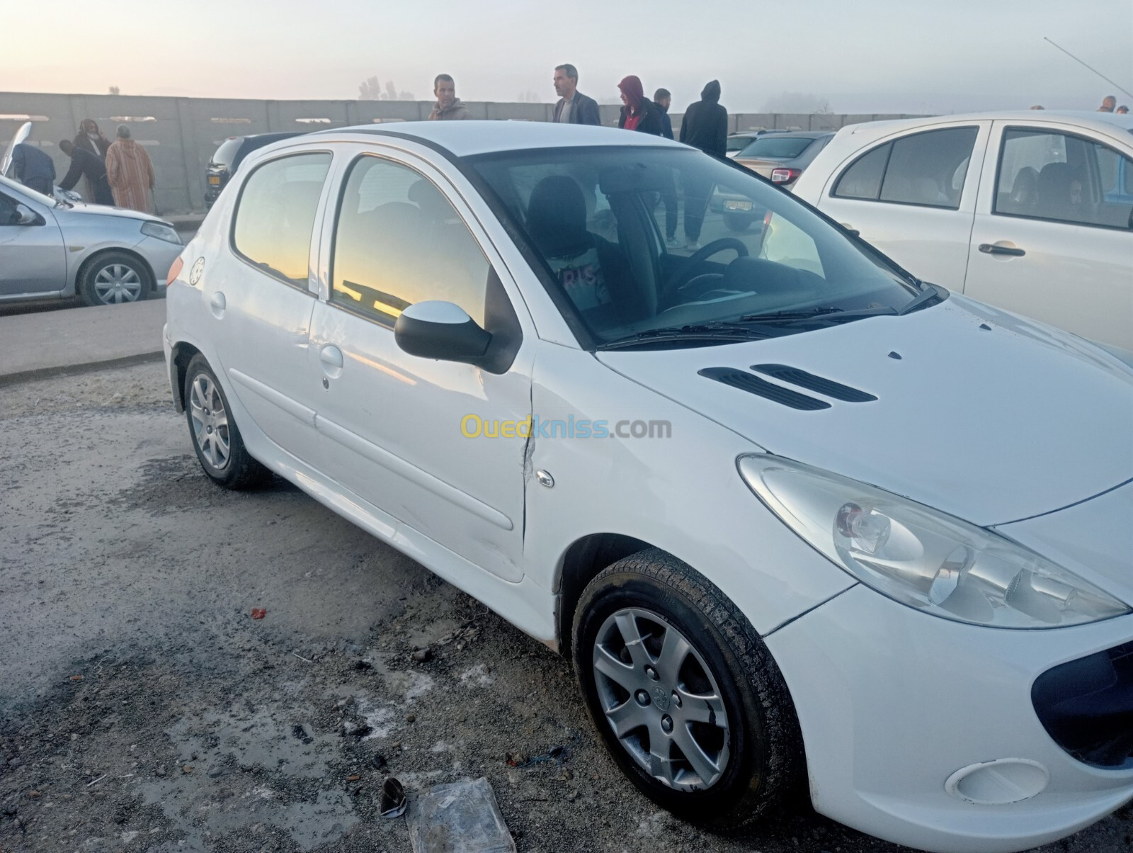 Peugeot 206 Plus 2011 206 Plus