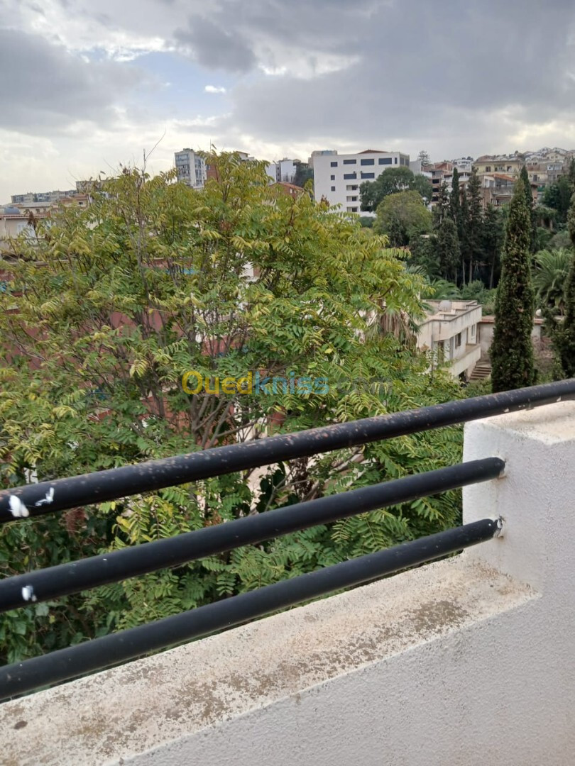 Vente Duplex F04 Alger Hussein dey