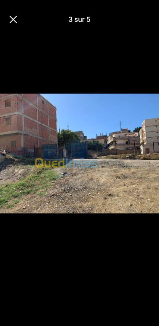 Vente Terrain Boumerdès Ouled moussa